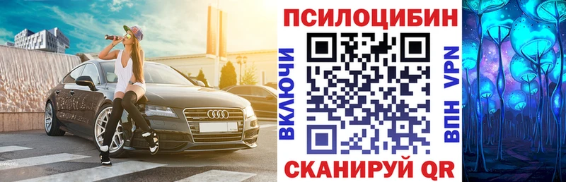 где можно купить наркотик Красногорск Галлюциногенные грибы Psilocybe